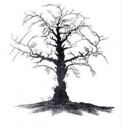 10-faces-in-tree